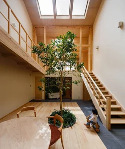 40 Stunning Ideas for Indoor Trees Under Glass Skylights - image 1