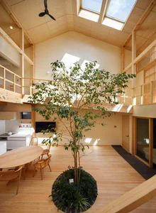 40 Stunning Ideas for Indoor Trees Under Glass Skylights - image 33