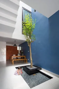 40 Stunning Ideas for Indoor Trees Under Glass Skylights - image 16