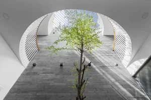 40 Stunning Ideas for Indoor Trees Under Glass Skylights - image 14