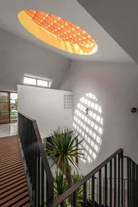 40 Stunning Ideas for Indoor Trees Under Glass Skylights - image 10