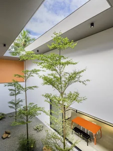 40 Stunning Ideas for Indoor Trees Under Glass Skylights - image 21