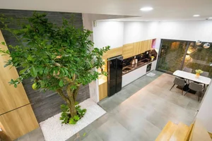 40 Stunning Ideas for Indoor Trees Under Glass Skylights - image 2