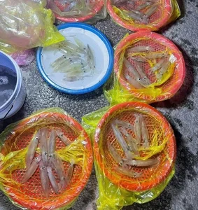 Unique Jumping Squid Market: Where Freshness Trumps the Scale in Vietnam - image 5