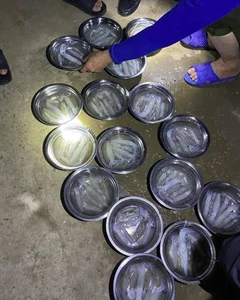 Unique Jumping Squid Market: Where Freshness Trumps the Scale in Vietnam - image 3