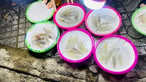 Unique Jumping Squid Market: Where Freshness Trumps the Scale in Vietnam - image 7