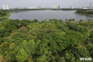 5 Most Beautiful Scenic Lakes to Visit in Hanoi, Vietnam - image 4