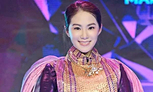 The Resilient Journey of Luong Bich Huu: From Hardship to Musical Comeback - image 1