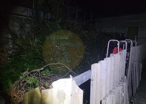 Shocking Encounter: Man Attacked by Giant Python While Urinating Outdoors - image 1