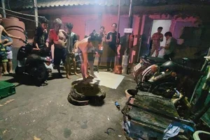 Shocking Encounter: Man Attacked by Giant Python While Urinating Outdoors - image 4
