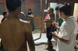 Shocking Encounter: Man Attacked by Giant Python While Urinating Outdoors - image 7