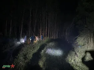 Heroic Efforts to Combat the Raging Forest Fires in Ca Mau Province - image 1