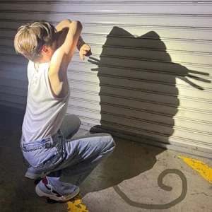 Trending Now: The 'Cat Shadow' Photo Challenge Taking Over Social Media - image 5