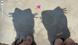 Trending Now: The 'Cat Shadow' Photo Challenge Taking Over Social Media - image 4