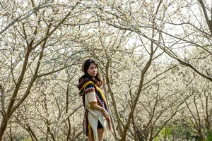 Experience the Ethereal Beauty of White Plum Blossoms in Bac Ha Plateau, Vietnam: A Dreamy Spring Escape for Nature Lovers and Travelers. - image 8