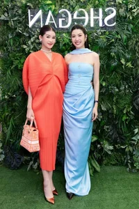 Stunning Pregnant Vietnamese Celebrities Rocking High Heels Despite Maternity Challenges - image 4