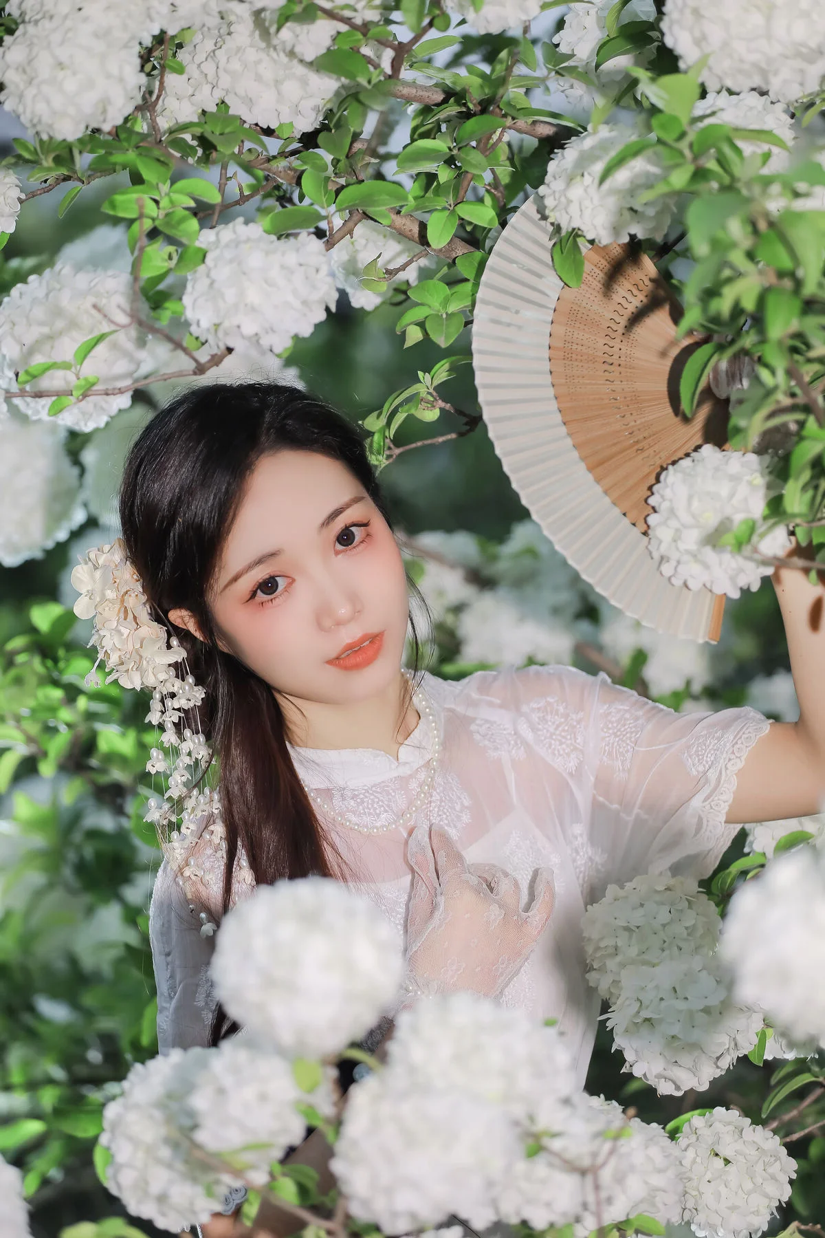 Ethereal Beauty in White Hydrangeas YiTuYu Vol.8965 Hua Zhuang Shi Tian
