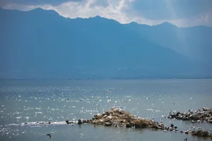 Ethereal Grace of Wan Jiang Ting in YiTuYu Art Language Vol.8851 by the Lake - image 28