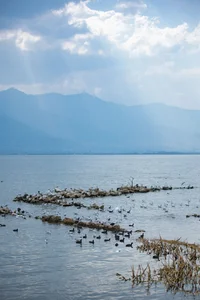 Ethereal Grace of Wan Jiang Ting in YiTuYu Art Language Vol.8851 by the Lake - image 25