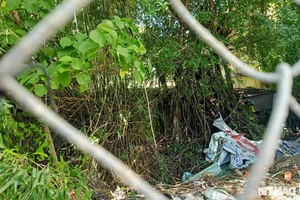 Preserving History: The Century-Old Bac Lieu Governor's Palace Faces Severe Degradation - image 4