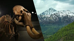 14,000-Year-Old Ivory Tool Reveals Secrets of Our Ancestors - image 1