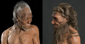 Who Was Mitochondrial Eve? The Fascinating Story of Humanity's Common Ancestor - image 8