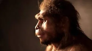 Who Was Mitochondrial Eve? The Fascinating Story of Humanity's Common Ancestor - image 3