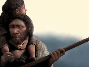 Who Was Mitochondrial Eve? The Fascinating Story of Humanity's Common Ancestor - image 4