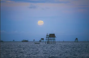 Witness the Beaver Supermoon: The Brightest Full Moon of the Year Lights Up Vietnam - image 8
