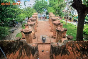 Admiring the Majestic Cham Tower Recently Designated as a Special National Relic in Vietnam - image 6