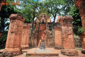 Admiring the Majestic Cham Tower Recently Designated as a Special National Relic in Vietnam - image 2