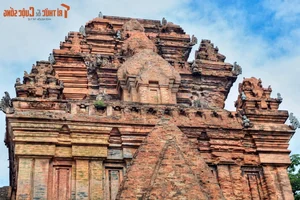 Admiring the Majestic Cham Tower Recently Designated as a Special National Relic in Vietnam - image 11