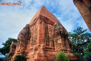 Admiring the Majestic Cham Tower Recently Designated as a Special National Relic in Vietnam - image 9