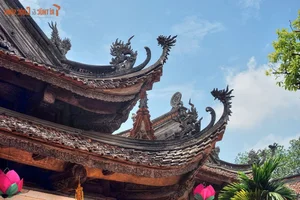 Priceless Treasures: Discovering Buddhist Art from the Tay Son Dynasty - image 0