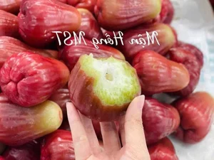 Are These 200,000 VND Per KG Pink Plums Worth the Hype? - image 3