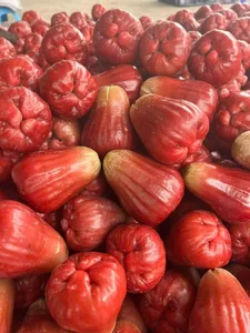 Are These 200,000 VND Per KG Pink Plums Worth the Hype? - image 5