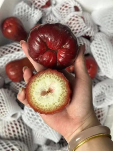 Are These 200,000 VND Per KG Pink Plums Worth the Hype? - image 0