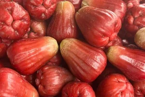 Are These 200,000 VND Per KG Pink Plums Worth the Hype? - image 2