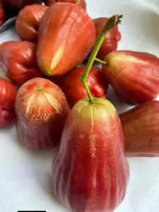 Are These 200,000 VND Per KG Pink Plums Worth the Hype? - image 6