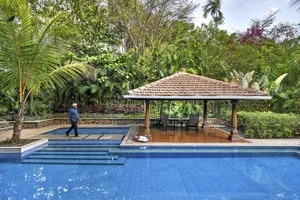 Eco-Friendly Basalt Stone House Hidden Within 5,000 Trees - image 8