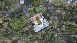 Eco-Friendly Basalt Stone House Hidden Within 5,000 Trees - image 4