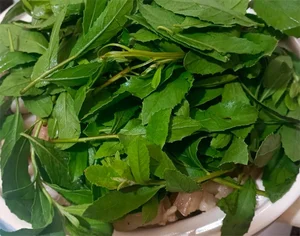 Wild Backyard Plants Become High-End Delicacies in Urban Markets - image 8