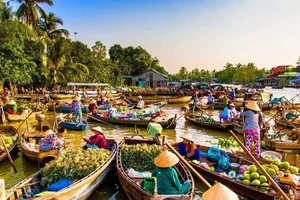 Mekong Delta Travel Guide: Choosing the Best Floating Season Tour - image 1