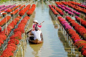 Mekong Delta Travel Guide: Choosing the Best Floating Season Tour - image 0