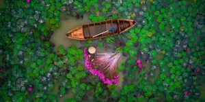 Mekong Delta Travel Guide: Choosing the Best Floating Season Tour - image 2