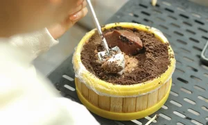 Hanoi’s Viral Mushroom Cocoa: The Creative Street Food Taking Over the Old Quarter - image 11