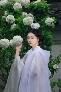 Ethereal Whispers: Nan Gua Zhou Amidst the Blooming Hydrangeas | YiTuYu Art Language Vol. 9092 - image 12
