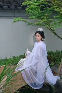 Ethereal Whispers: Nan Gua Zhou Amidst the Blooming Hydrangeas | YiTuYu Art Language Vol. 9092 - image 9