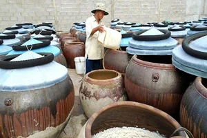 Exploring Historic Culinary Craft Villages in Ninh Binh Province - image 0