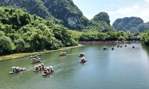 Trang An Welcomes 800 Indian Tourists: A New Milestone for Vietnam Tourism - image 0